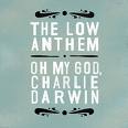 17. Oh my God, Charlie Darwin - The Low Anthem