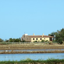 Arrossar, Delta de l'Ebre