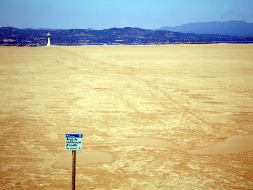 Delta de l'Ebre