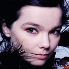 bjork_hp