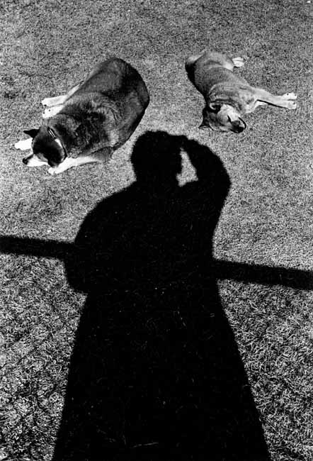 moriyama-auto-portrait