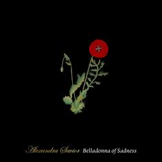 10. Alexandre Savior - Belladonna of Sadness