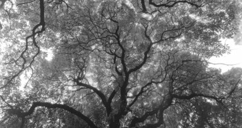 Els laberints de Josef Sudek
